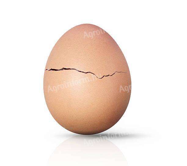 Broken eggs