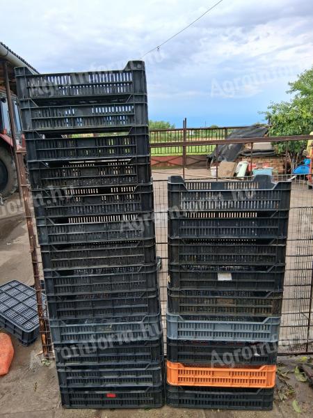 M 10 compartment crate