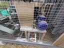 Lyophilizing freeze dryer