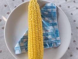 Csemege kukorica