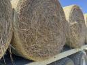 Hay bale for sale