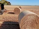 Wheat straw for sale