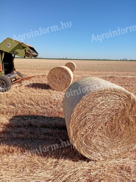Wheat straw for sale