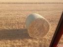 Wheat straw for sale