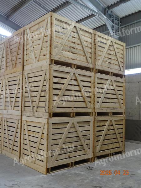 Onion storage container