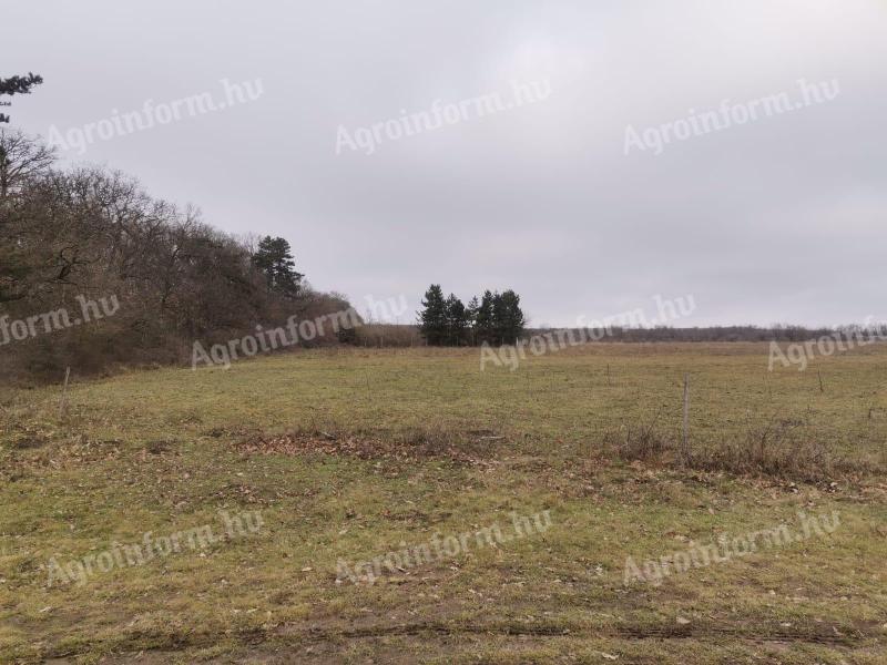 24.000 m2 städtisches Baugrundstück zum Verkauf in Csapod