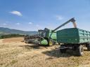 BIO spelta, neol̂uštena, iz žetve 2025. na prodaǰu