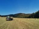 Triticale-Stroh