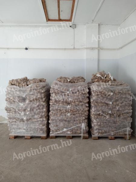Prodaǰe se pomfrit od žutog krompira