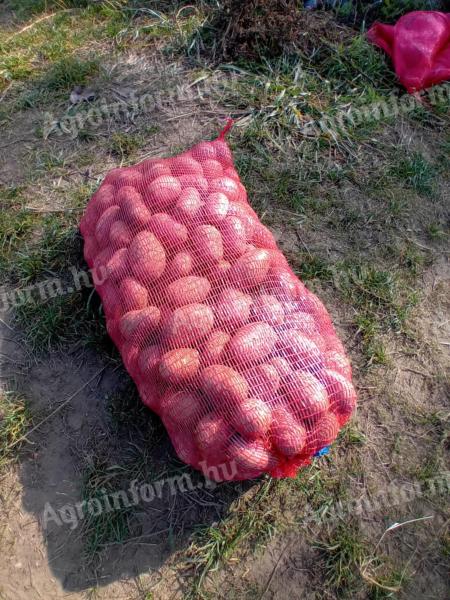 Na prodaǰu krompir Balatoni Rosa