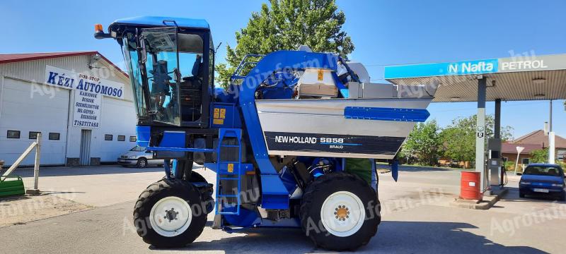 Grape harvesting by mechanical harvesting
