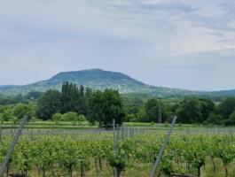 Balaton közelében pince eladó