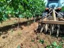 Eger Nagi-Eged planina Merlot