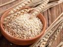 Barley