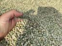 Fodder peas