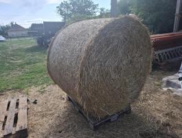Szalma körbála 150 cm eladó