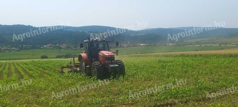 Looking for a job in agriculture