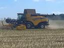 Looking for a job in agriculture