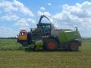 Looking for a job in agriculture