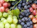 Mixed grapes for sale
