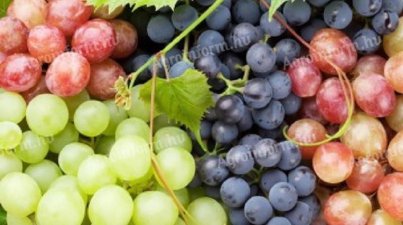 Mixed grapes for sale