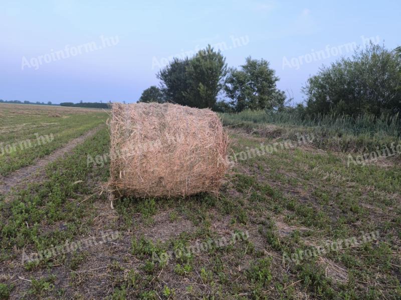 Lucerna bale
