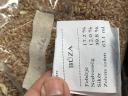Wheat seed, Alicantus and Apexus