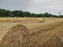 Straw bale