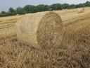 Straw bale
