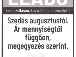 Vöröshagyma eladó