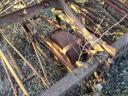 Row cultivator with boron