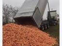 Carrot feed for sale in Mórahalmon