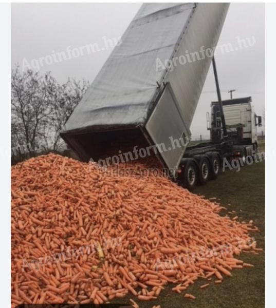 Carrot feed for sale in Mórahalmon