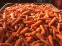 Carrot feed for sale in Mórahalmon