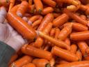 Carrot feed for sale in Mórahalmon