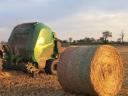 Wheat straw