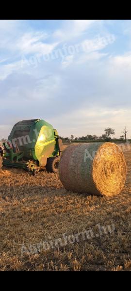Wheat straw