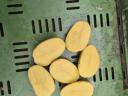 I offer wholesale potatoes for sale