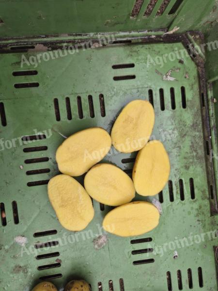 I offer wholesale potatoes for sale