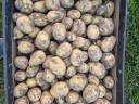 I offer wholesale potatoes for sale