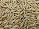 30q combine-pure oats for sale