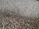 Autumn wheat