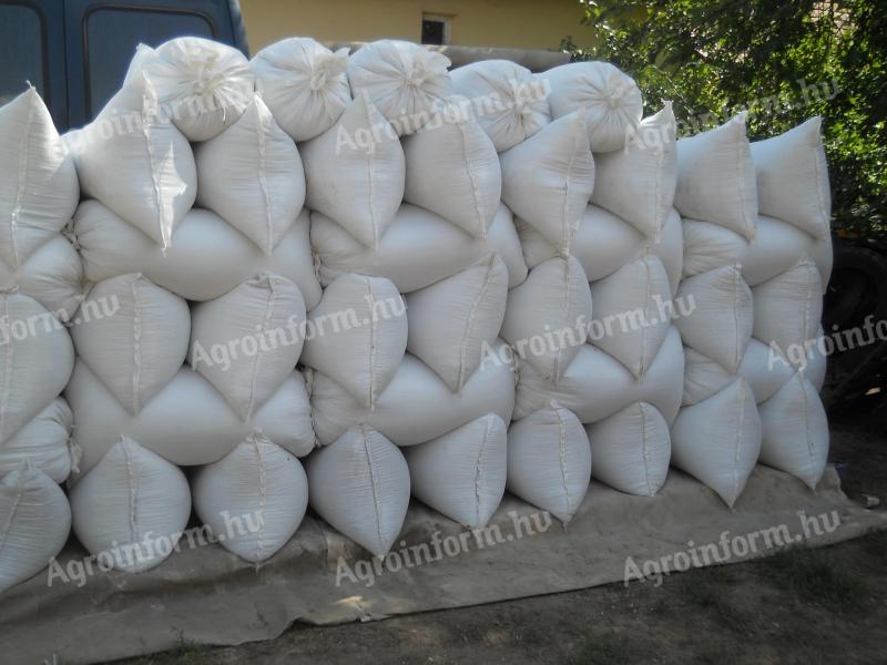 Wheat for sale