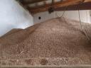 Triticale for sale in Bokod