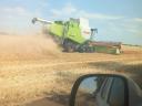 Lexion 670 terratrac