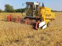 Fodder wheat for sale