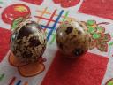 Quail eggs