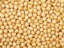 Seed of winter wheat and winter fodder peas in metallic seed available for purchase from stock