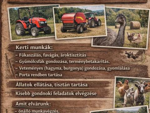 Gondnok Gondnok