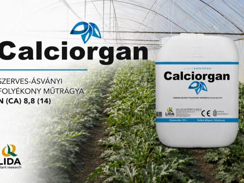 Calciorgan kalcium műtrágya 10l